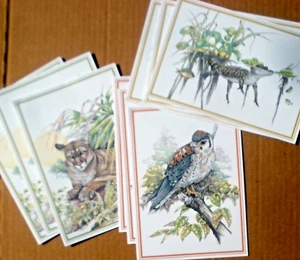 Wildlife FL Panther Turmfalke Alligator Wilson Kunst 9 leere Notizkarten mit Umschlag (234 - Bild 1 von 5