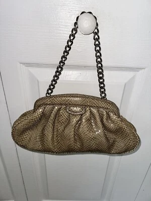 Banana Republic Genuine Snakeskin Leather Hobo Beige Bag Silver Chain - Image 1 of 4