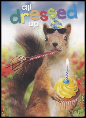 Greeting Card - Squirrel - Birthday 0848 - Image 1 of 2