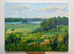 Original Artwork 12”x16” Oil On Canvas Panel Chain O Lakes By Tadeusz Seidel - Picture 1 of 1