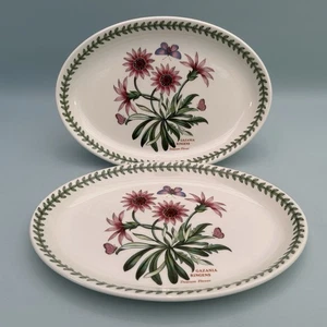 Portmeirion Fire & Ice Botanic Garden Oval Side Plates Gazania Tapas Meze Dining - Picture 1 of 16