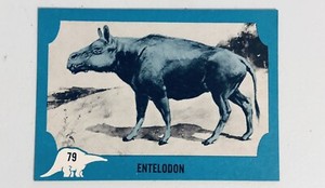 1961 Nu Card Dinosaur Series #79 NM ENTELODON