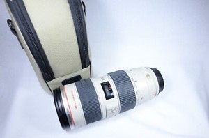 Canon EF 70-200mm f/2.8 L IS USM Lens #399009