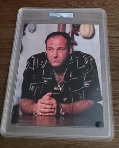 James Gandolfini Tony Sopran signiertes 8x10 Foto - PSA authentifiziert neue Platte!  - Bild 1 von 5