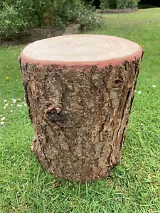 Sedili in ceppo, veri sgabelli in legno rustici per sedute da giardino e sgabelli in tronco pozzo del fuoco - Foto 1 di 11