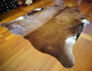 A Rich Brown - A Spectacular Coat  -  A Beautiful Sheen  -A Premium Cowhide Rug - Bild 1 von 7