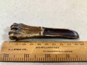 ANTICO PICCOLO CAROTAGGIO DI MELA IN OSSO, BELLA PATINA. LUNGO 10 cm. - Foto 1 di 9