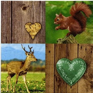 PAPIERHANDTÜCHER EICHHÖRNCHEN HIRSCH NATUR HERZEN. PAPIERSERVIETTEN EICHHÖRNCHEN HIRSCH - Bild 1 von 1