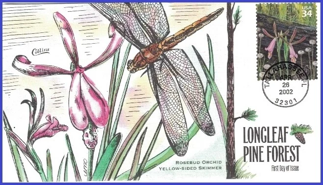 USA1 #3611b U/A COLLINS HAND PAINTED FDC   Pine Forest Rosebud Orchid - Image 1 of 1