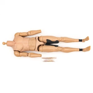 Body for DAMTOYS DAM EBS001 EXTREMEZONE Samurai SAKIFUJICRAIG 1/6 Scale Figure - Picture 1 of 1