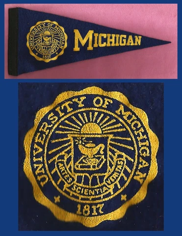 VINTAGE 1950’s University of Michigan Wolverines Football Pennant! WOW! Cover