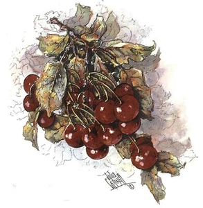 Calcomanías de cerámica de tobogán acuático sobreesmaltado racimos de frutas de cereza rojo oscuro - Imagen 1 de 6