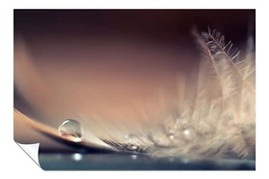 Droplet on Pastel Feather Close Up Artistic Poster Wall Art Home Decor - Picture 1 of 4