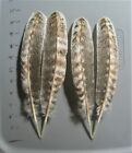 4 Mottled Oak Turkey Wing feathers..Turkey quill..item #TW-7..COMBINE SHIPPING
