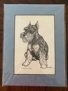 G Marlo Allen 1984 Schnauzer Dog Print Blue Matte 12 X 9 Art Picture Vintage  - Picture 1 of 6