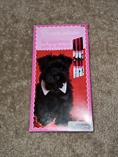 Rachael Hale 16 Valentines❤️with 16 Pencils Cute Dogs, Cats, Bunny 8 Designs🆕