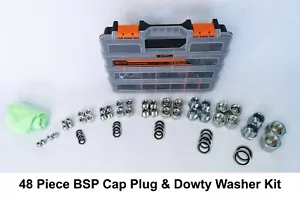 Hydraulic Plug and Cap & Dowty Kit BSP 48 Pc in Plastic Case Dash 4 6 8 12 16 - Picture 1 of 8