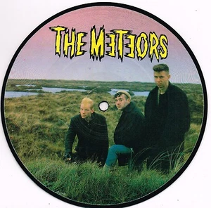 THE METEORS johnny remember me UK ID 7" PICTURE DISC 45rpm_1983 MINT - Foto 1 di 2