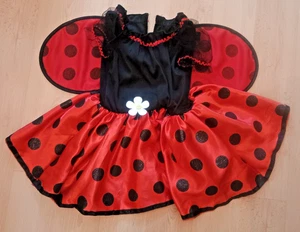 Disfraz Escarabajo Mariano Niño | Talla 92 - Imagen 1 de 3