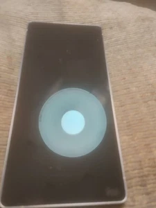 Samsung S25 Ultra OEM screen - Photo 1 sur 1