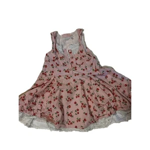 Petticoat Rose Blumen Mädchen 4t Rosa Kleid Cottagecore Shabby Chic Bauernfee - Bild 1 von 8
