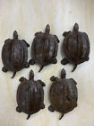 5 Stck. Chinesische Bronze Handgefertigte *Schildkröte* Statuen!!!!!