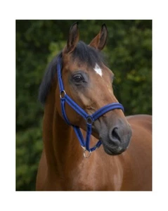 Cavalletto softoprene Norton sotto colore a scelta Shetty Pony VB WB KB - Foto 1 di 11
