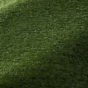 Fadini Borghi Pierre Frey Chenille Velvet Fabric- Freddo Antica 4.70 yd I6622011 - Picture 1 of 1