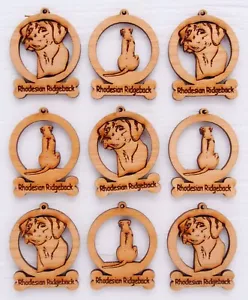 Rhodesian Ridgeback Mini Ornamenti Scatola da 9 - Foto 1 di 1