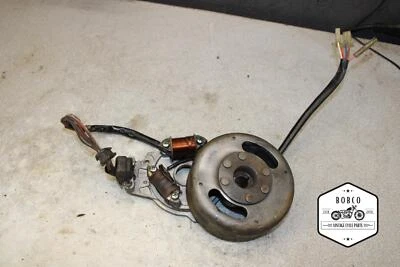 1970 Kawasaki GA3 G3TR Street Scrambler STATOR AND ROTOR MAGNETO E6-4042.VJ - Изображение 1 из 4