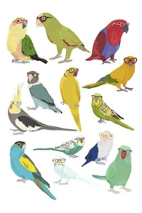 Parrots Art Print by Hanna Melin 11 x 14 in. Paper Size New Unframed - Picture 1 of 1