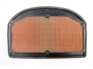 Filtro de aire TRIUMPH Tiger 1200, Tiger Explorer T2209555 Filtro de aire tiger 1200 - Imagen 1 de 3