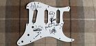 The Libertines Fully Signed Guitar Scratch Plate White Pete Doherty Carl Barat