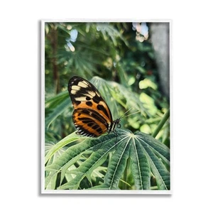Monarch Butterfly on Leaf White Framed Giclee Art Nature Wall Decor by Lil' Rue - Picture 1 of 8