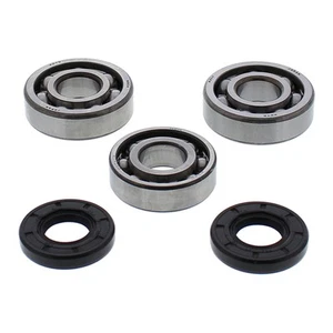 All Balls Racing Crankshaft Bearing Kit (24-1117) - Picture 1 of 1