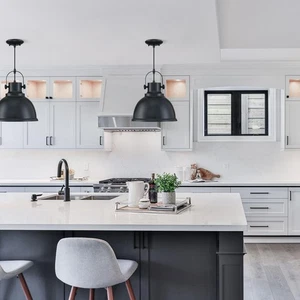 Forte Lighting 7210-01-04 Harmon 1 Light 12 inch Black Pendant Ceiling Light - Picture 1 of 4