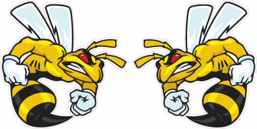 LOT OF 2 Ski-Doo Angry Bee Pairs Decal 6