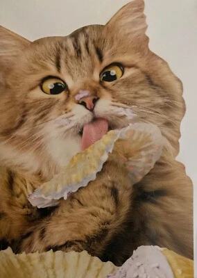 Avanti Cat Eating Cake Birthday Card~Funny~Cut Out~app 13 x 17cm - See Photos - Image 1 of 3