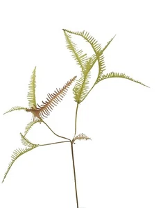 (01423-34040) ARTIFICIAL RAMA INDIVIDUAL HOJAS HELECHO - Imagen 1 de 1