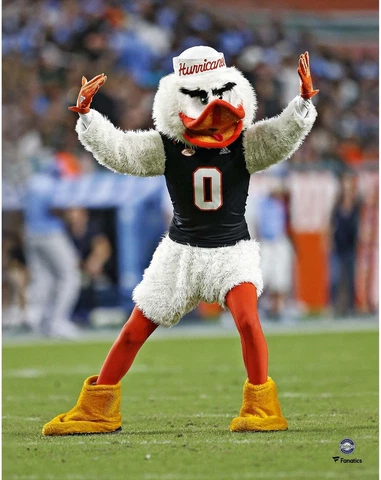 Miami Hurricanes Unsigned Sebastian the Ibis Dancing Photograph Cover