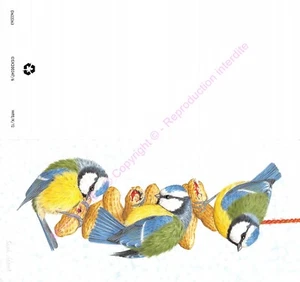 Double Fantasy Postcard Birds N3 - Picture 1 of 2