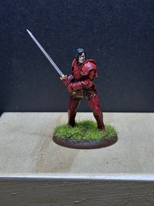 28mm The Impaler Miniatur Pathfinder 5 Ed Dungeons & Dragons bemalt - Bild 1 von 4