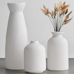 Vase Set of 3, Modern Bohemian Farmhouse Home Decor, Pampas Grass Dried - Picture 1 of 6
