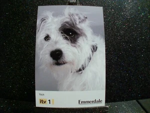 Titch (The Dog) Emmerdale Original Cast Card. Tv Aminal Pet Actor Dog - Picture 1 of 1