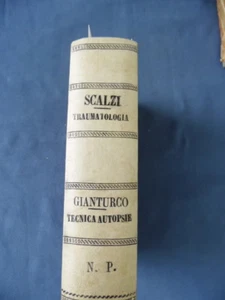 MEDICINA-SCALZI-TRAUMATOLOGIA TEORICO PRATICA+GIANTURCO-AUTOPSIE+FENWICK-STOMACO - Picture 1 of 4