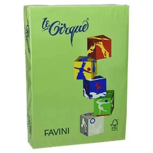 Copytinta A3 80Gr. 500Ff. Verde Chiaro 203 X1 - Foto 1 di 1