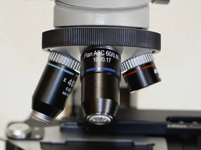 Microscopio Nikon Alphaphot YS2-T reconstruido, nuevo enfoque fino y piñón con plano 60X Foto 1 de 4