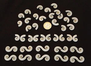 50 SPIRULA Muscheln - Bild 1 von 3