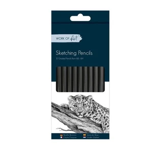 Sketching Pencils 12 Pack Graded 6B-6H Artist Drawing Crafts Shades Light Dark - Picture 1 of 1