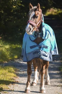 Outdoor Winter Weidepferd 100 g/m² Kombi Vollhals Wasserdicht Aqua/Grau 5'3-6'9 - Bild 1 von 5